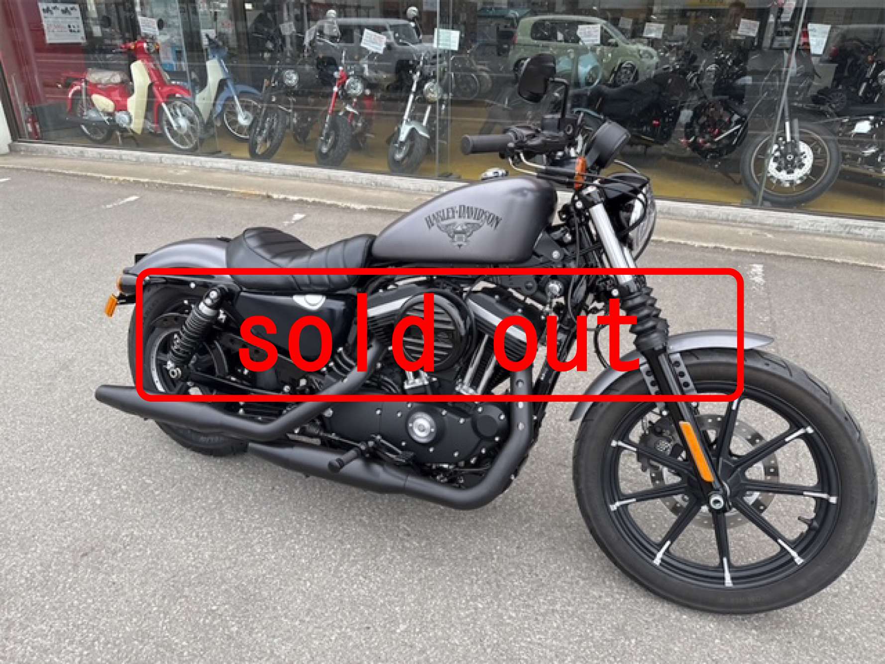 IMG_0500SOLDOUT.jpg