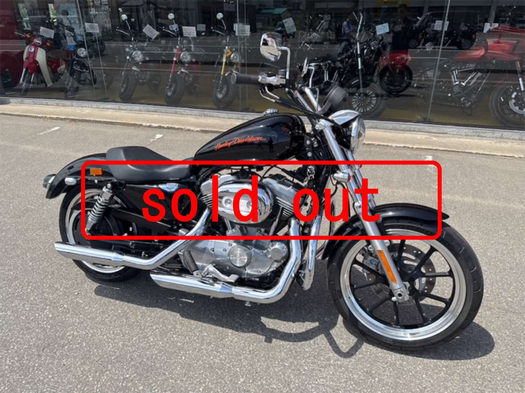 IMG_1408soldout.jpg