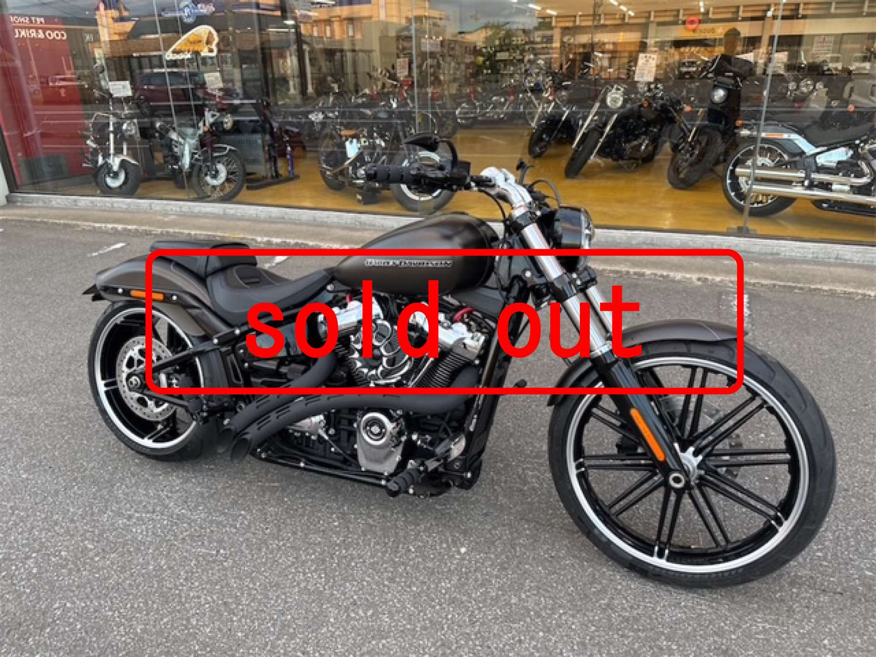 IMG_6748SOLDOUT.jpg