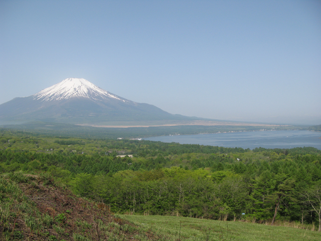 IMG_307955555.jpg